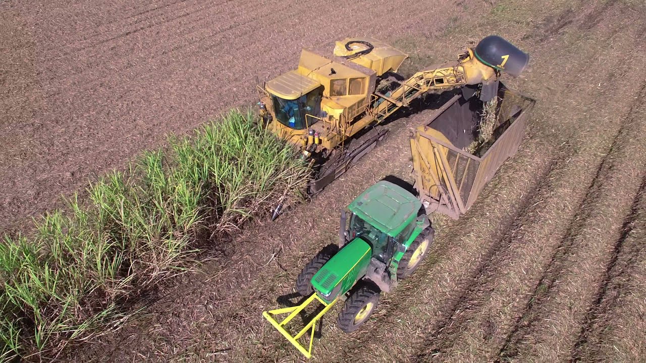 Cameco 2 Row Sugarcane Harvester 4K video