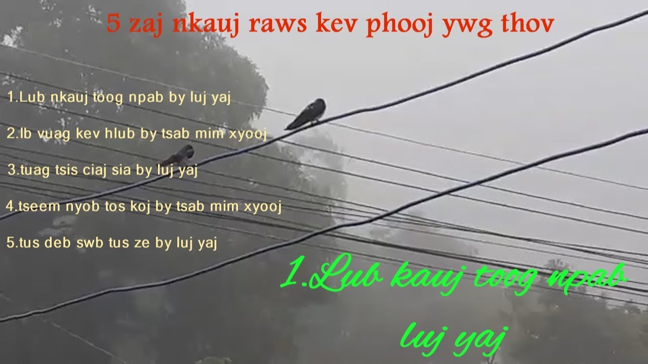 5 zaj nkauj raws kev thov ntawm phooj ywg /luj yaj & tsab mim xyooj/