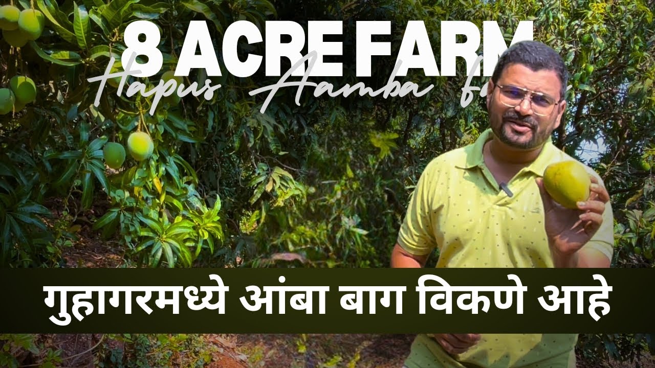 गुहागर मध्ये आंबा बाग विकणे आहे !