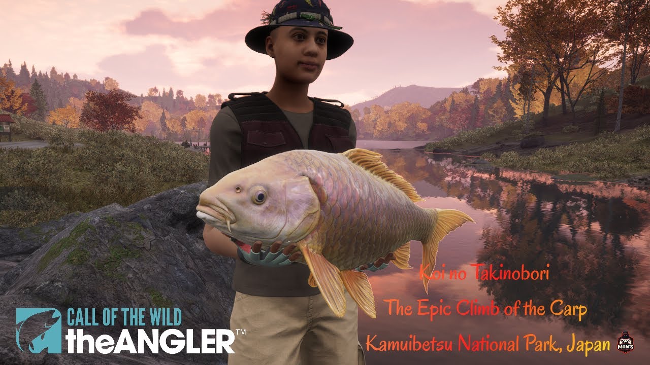 Koi no Takinobor  The Epic Climb of the Carp Kamuibetsu National Park Japan