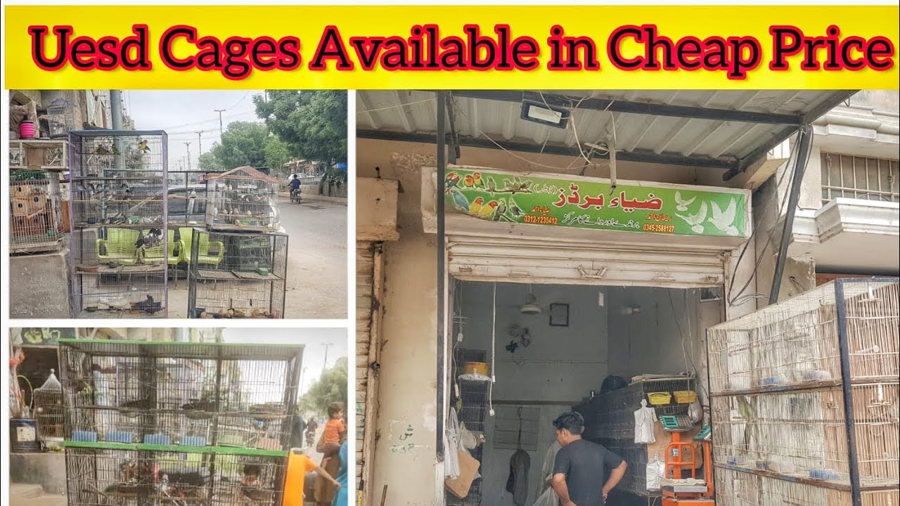 Birds Cages Price Update 2023 | Used Cage available in Zia Ahmed Birds Shop | All kind of Used Cage