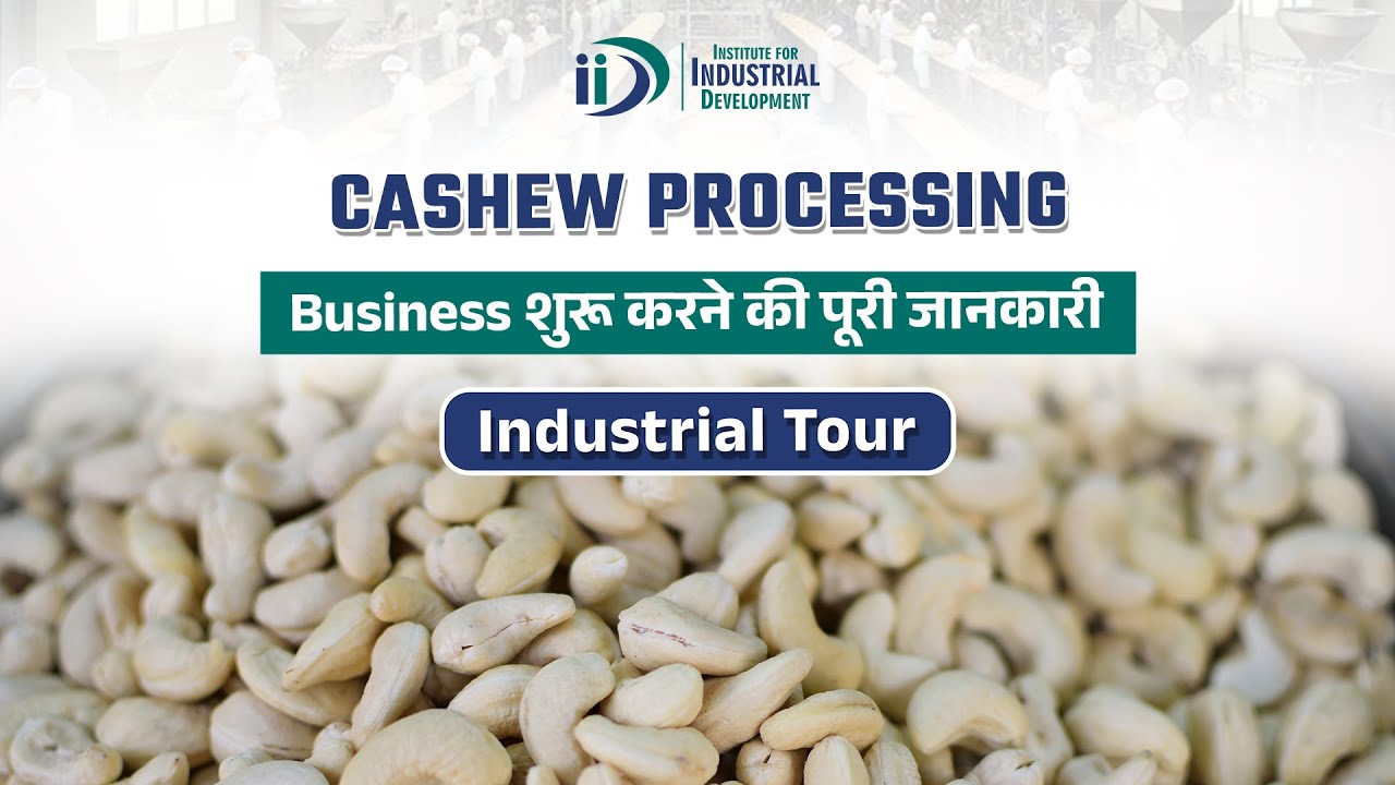 शुरू करे काजू का व्यवसाय || Start Cashew Processing Business