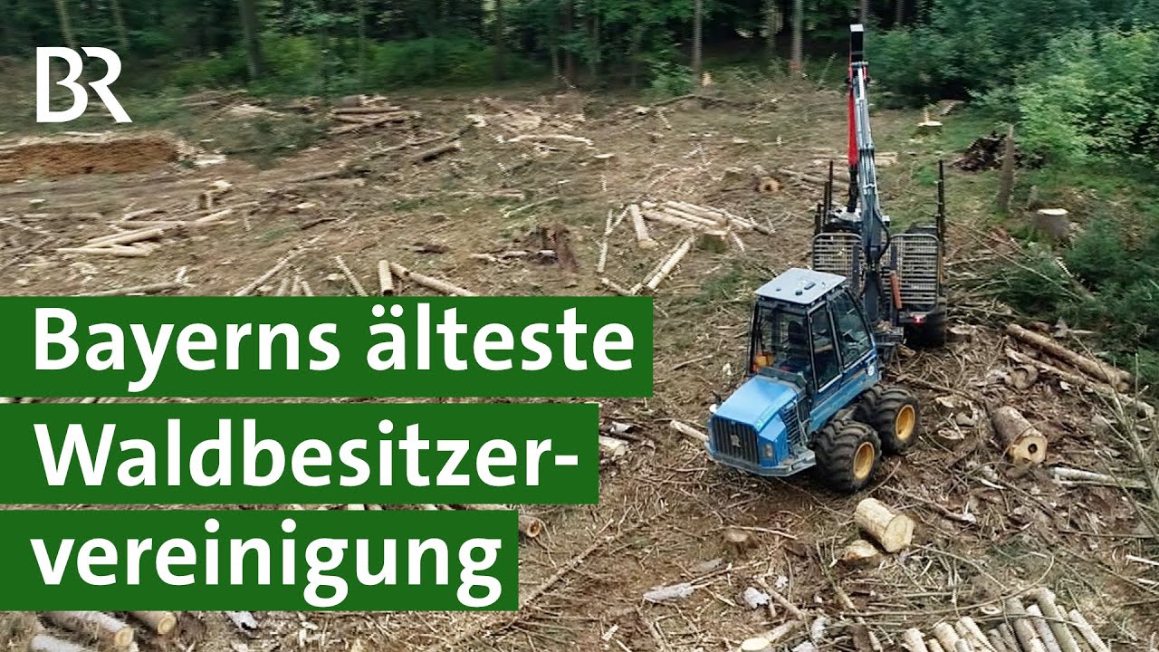 Waldbesitzervereinigung Bamberg | Republish | Unser Land | BR Fernsehen