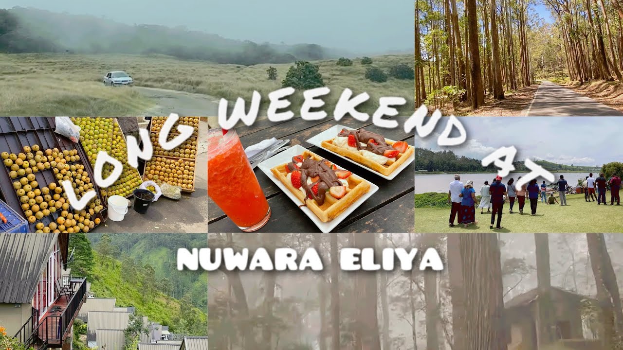 සිතල නුවරඑළිය යමු ❄️🍓| Long weekend vlog at st.clair's villa 🏔️