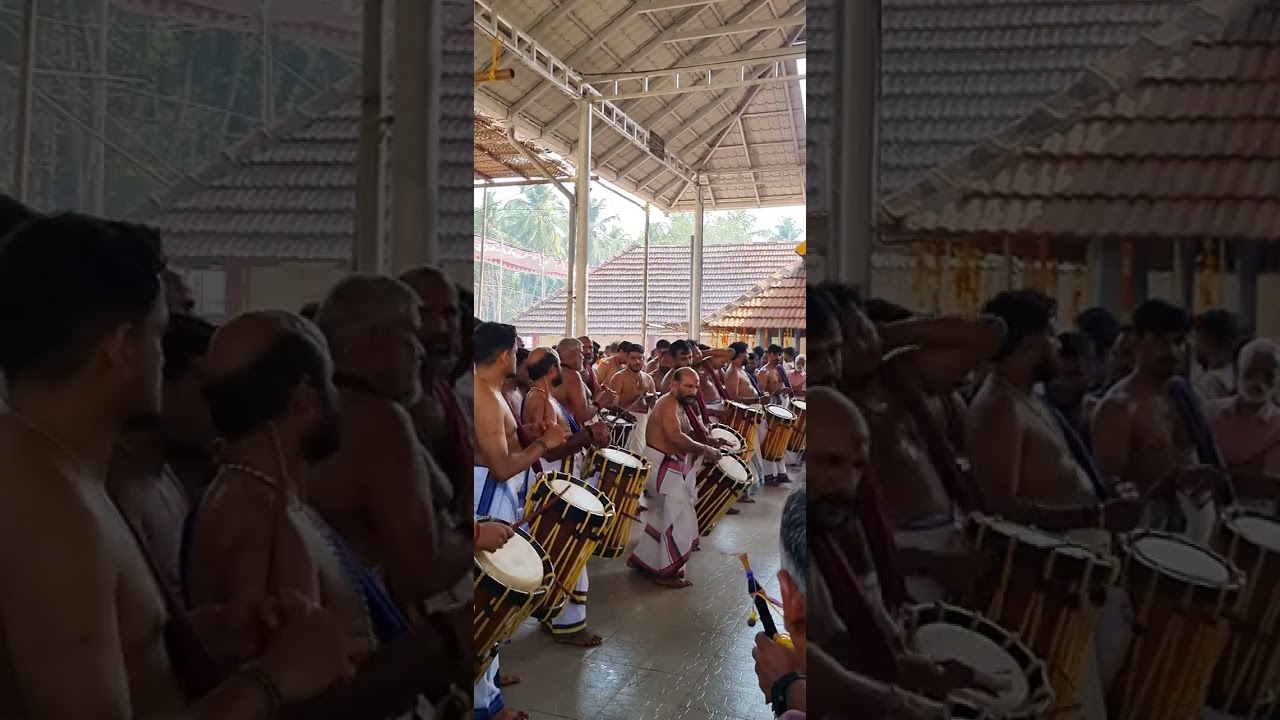 Panchari Melam, Shivarathri - Triprangode Siva Temple #festival #keralatemplefestival #sivarathri 