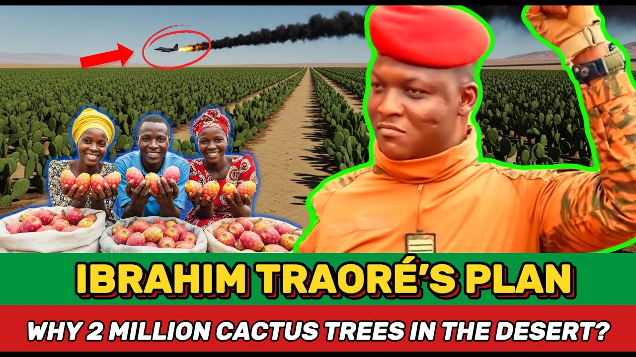 Ibrahim Traoré Plants 2 Million nopal cactus Trees — The West Can’t Believe It