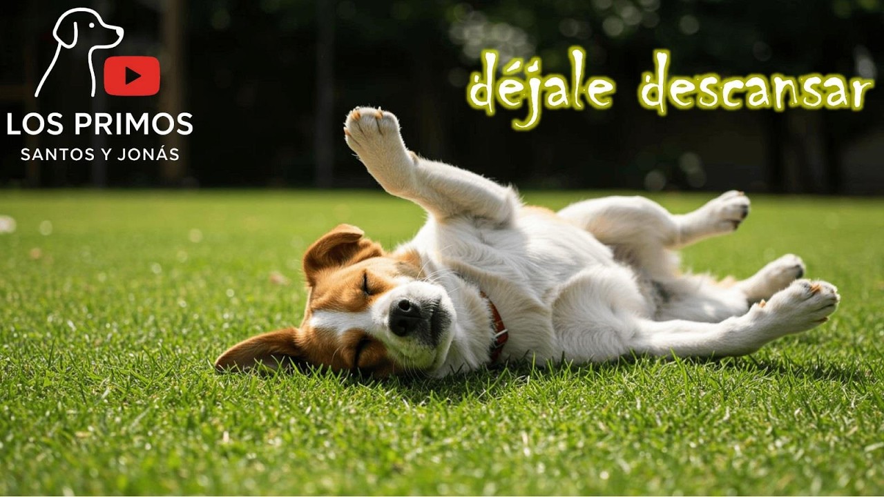 los Primos - déjale descansar