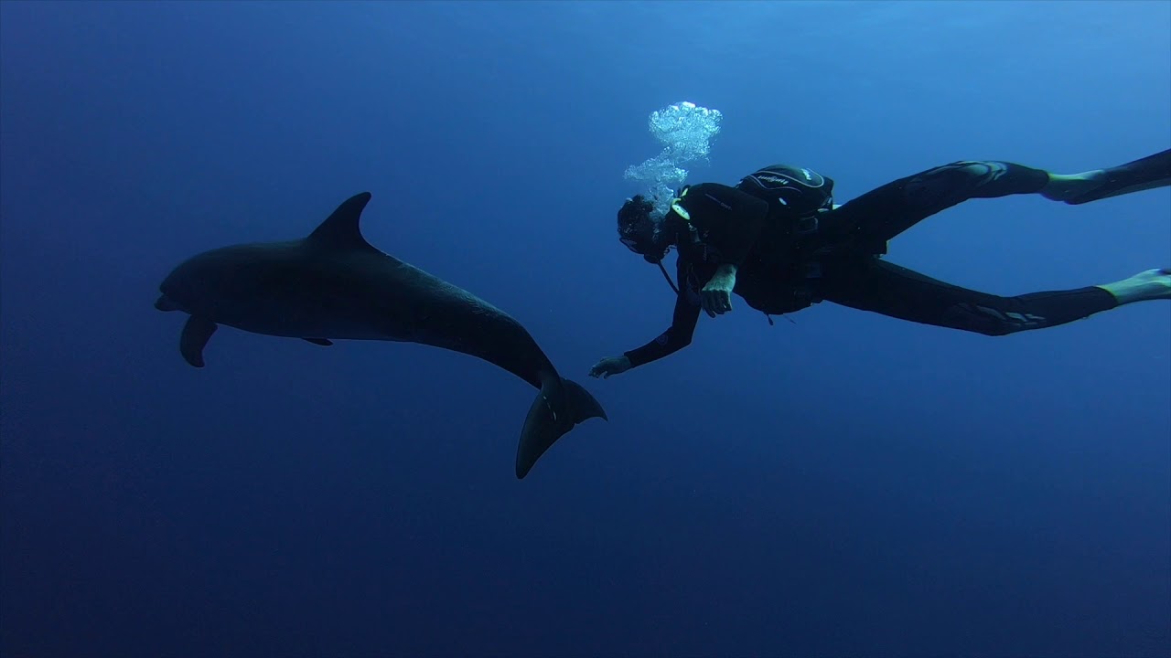 POLINEZJA FRANCUSKA RANGIROA nurkowanie - 10 - 2019r