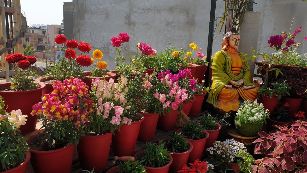 Winter Garden Overview 2021 / Flower Garden Tour || Fun Gardening