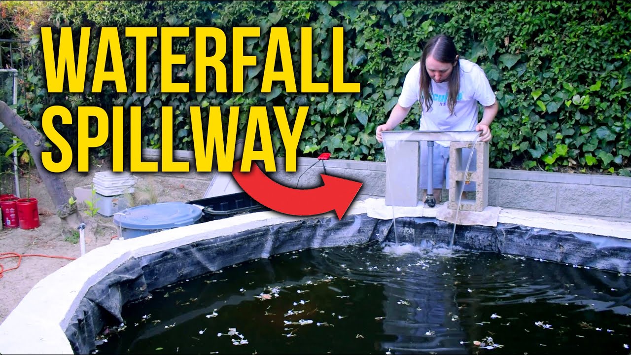 Koi Pond Waterfall Spillway Test