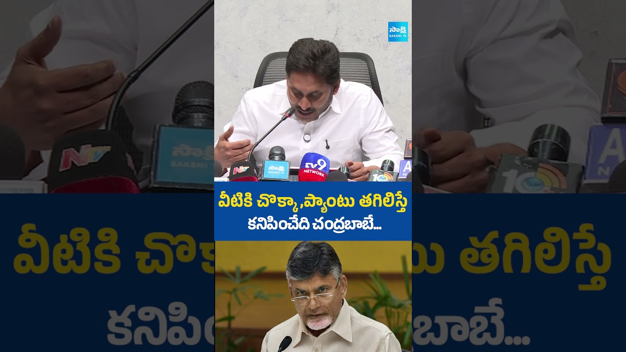 వీటికి చొక్కా,ప్యాంటు వేస్తే కనిపించేది చంద్రబాబే #ysjagan #chandrababu #naralokesh #DSCScam