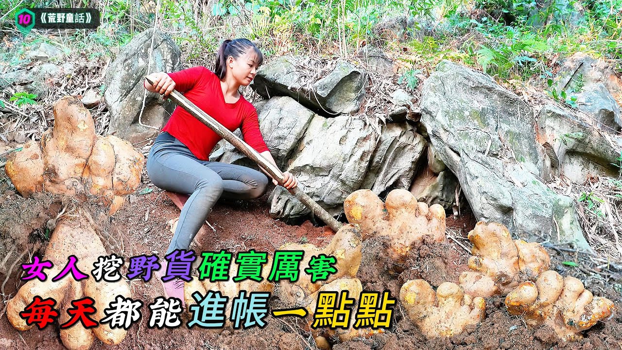 女人挖野貨確實厲害，每天都能進帳一點點，這樣的生活方式很不錯《荒野童話》10