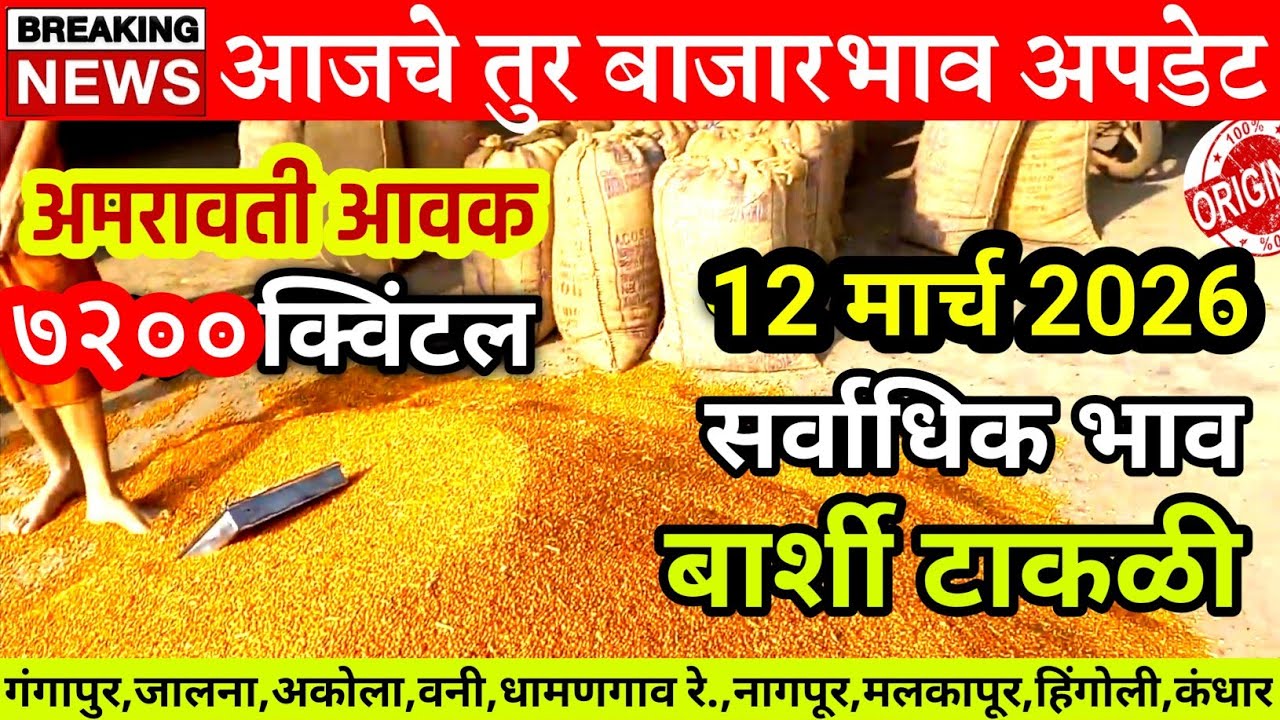 🔴आजचे तुर भाव,औरद शहजनी सर्वाधिक भाव 8300 रुपये.,12 मार्च 2026 #turbajarbhavlive #marathinews