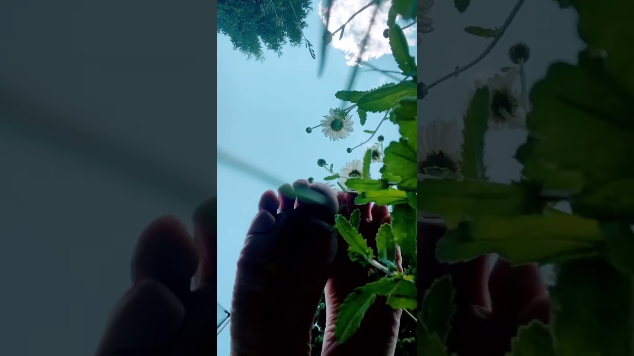 #FeetVideo