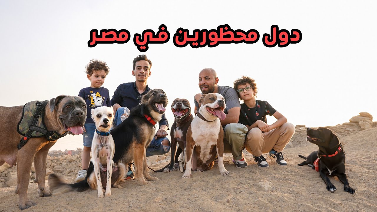 اخطر كلاب في مصر - الكلاب المحظورة