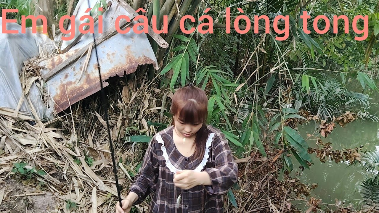 Hôm nay mấy anh em đi câu cá lòng tong #Đoàn kết miền tây ẩm thực tv 