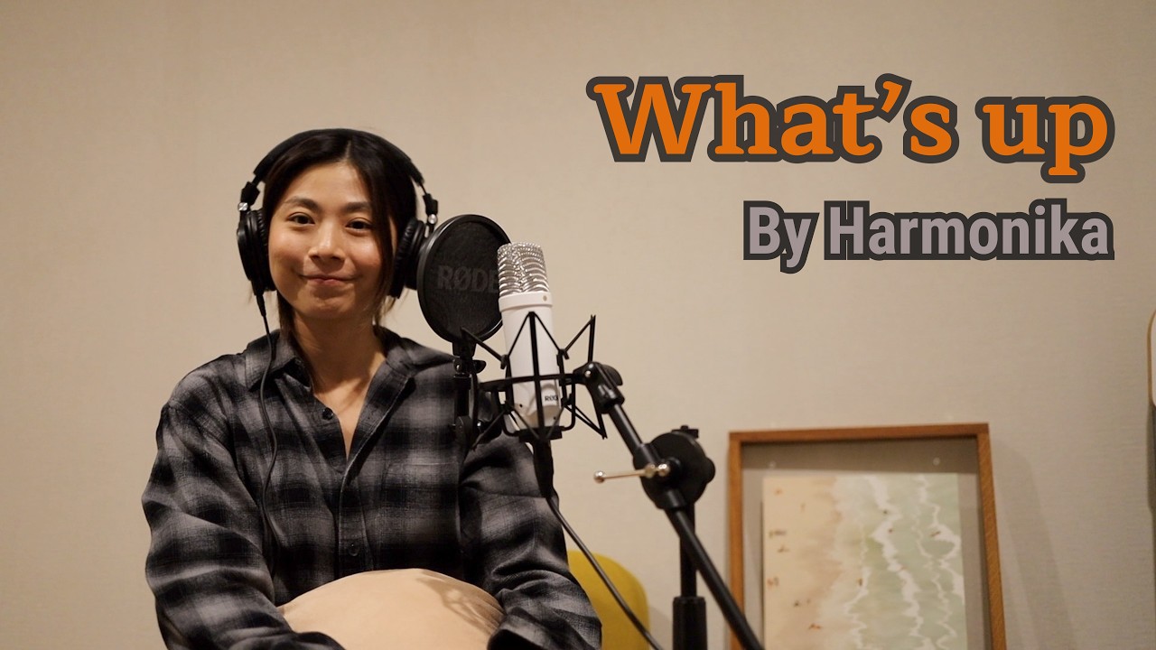 What's up - Cover by Harmonika