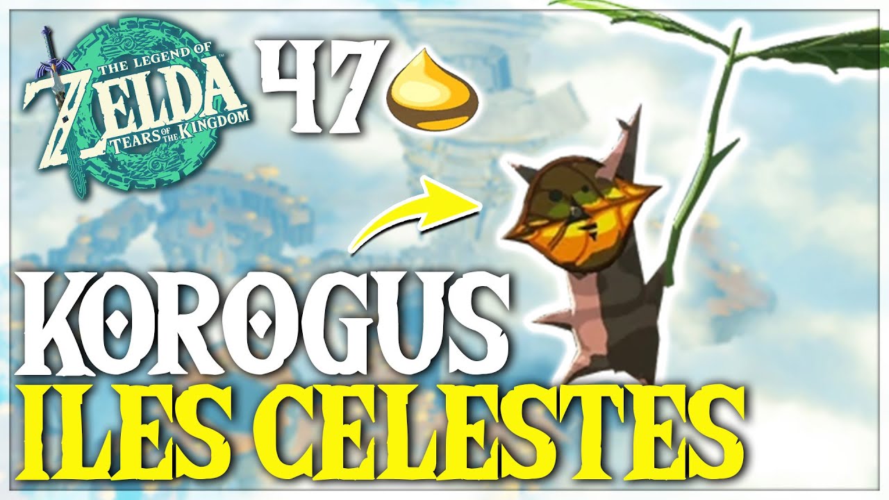 Toutes les NOIX KOROGU des ILES CÉLESTES dans Zelda Tears of the Kingdom - TUTO ZELDA TOTK