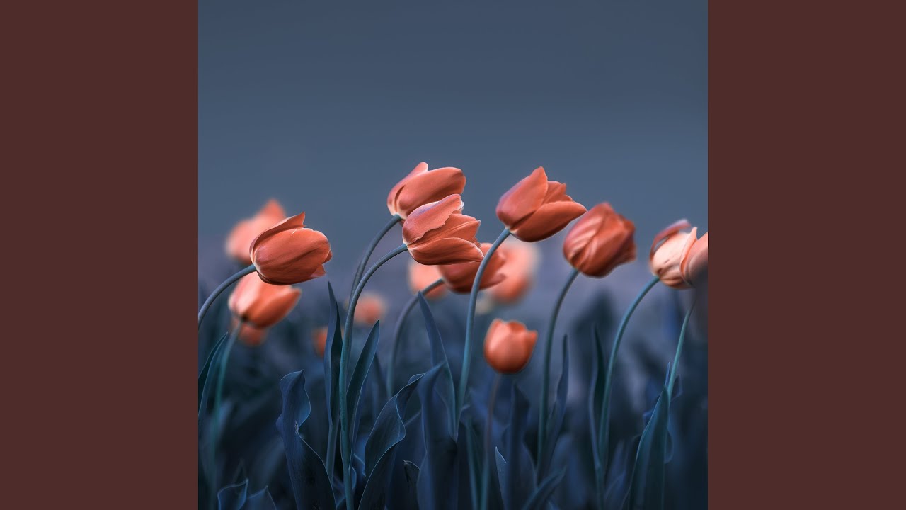 Full Moon on the West Attic