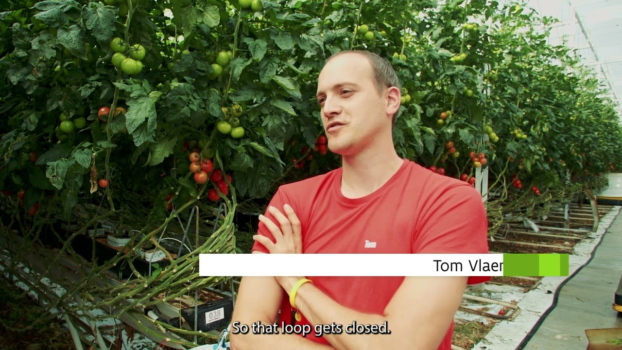 Green compost scores twice: first as peat-free growing medium then on the field