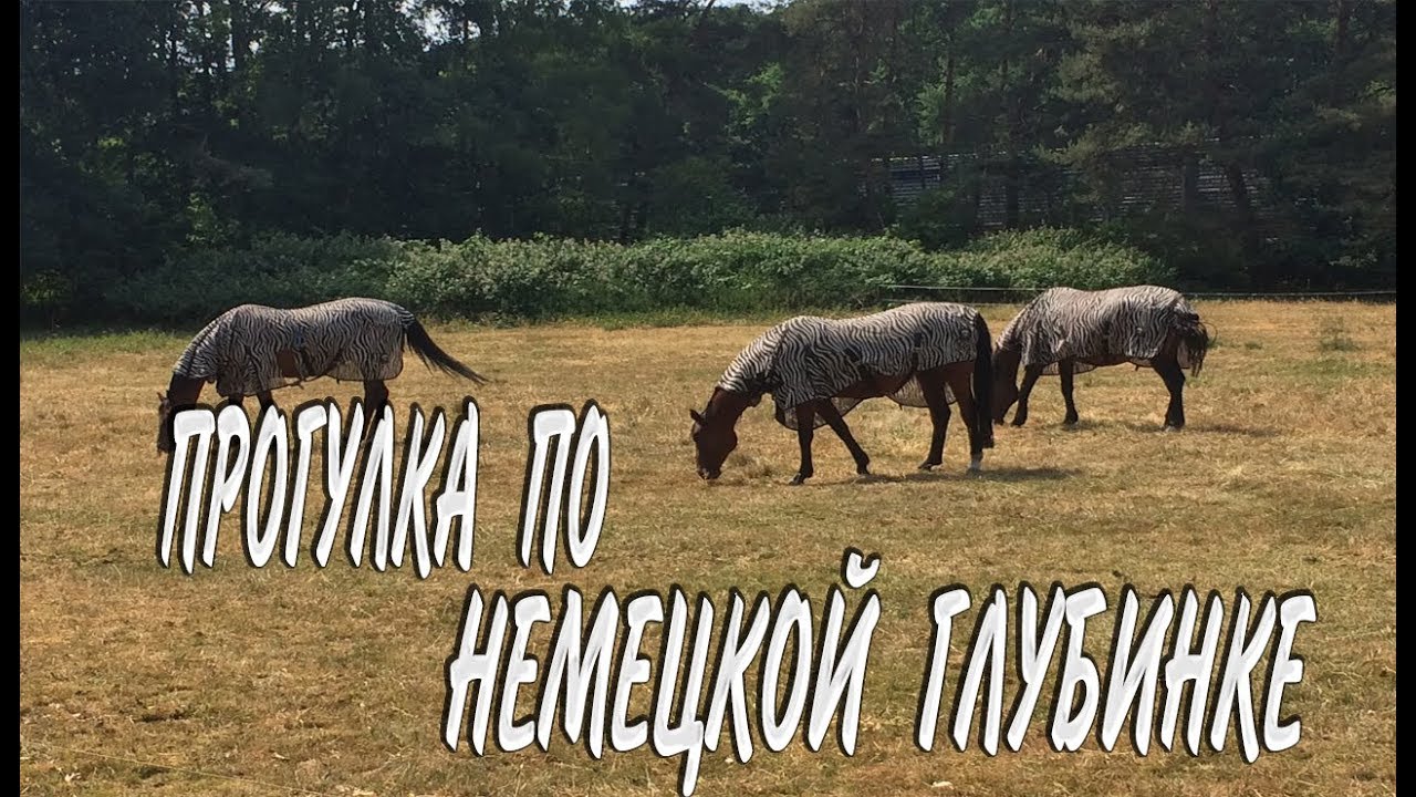 Гуляю по немецким деревням.Очень хороший уикенд в околицах Бремена.