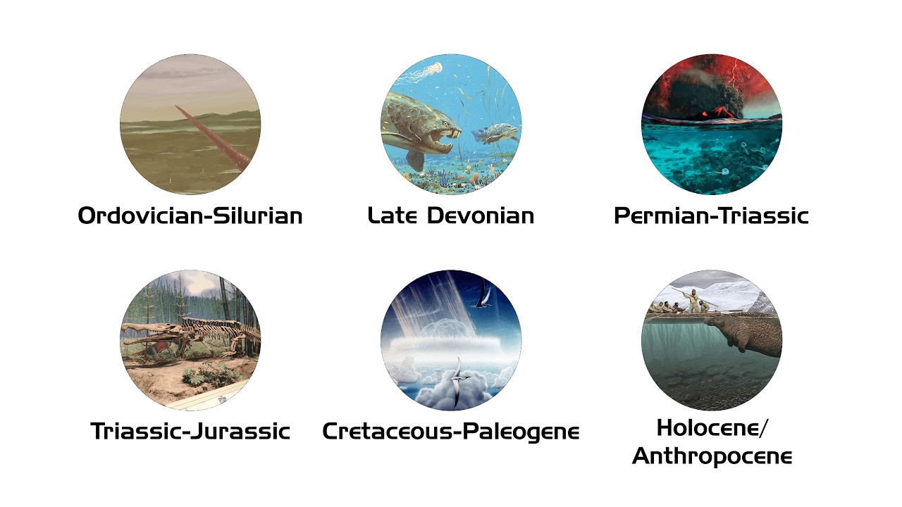 Every Major Mass Extinction Explained