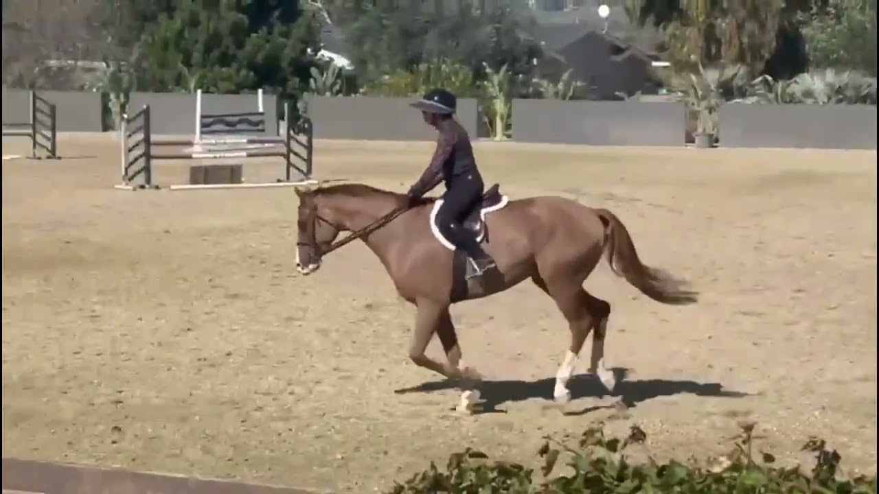 Junior February School