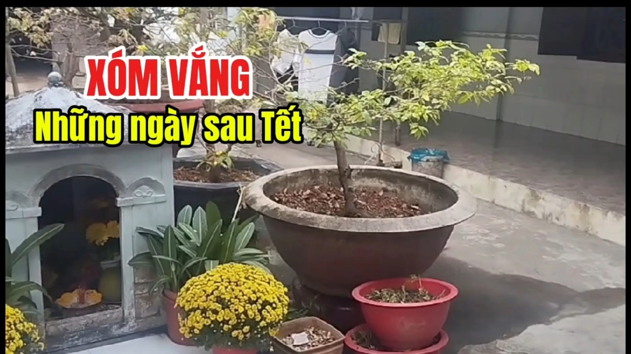XÓM VẮNG-NHỮNG NGÀY SAU TẾT| Free Footage -Video Không Bản Quyền