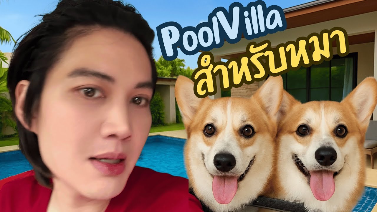 ผมพา2หมาไป pool villa หมาครับ ตามมา…. #สองหมาฮาเฮ