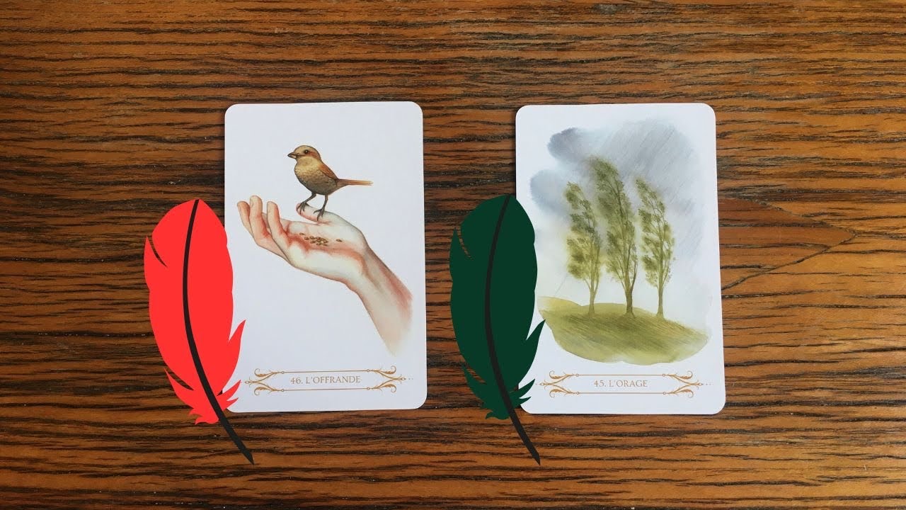 Tirage nocturne à 2 choix - Qu'est-ce qui vous connecte à cette personne ?