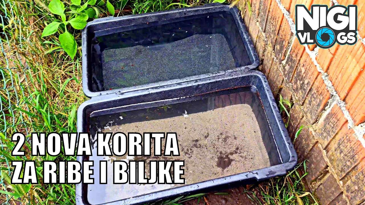 Improvizovano Jezerce x 2   Dva Nova Korita Za Akvarijumske Biljke I Ribe #akvaristika