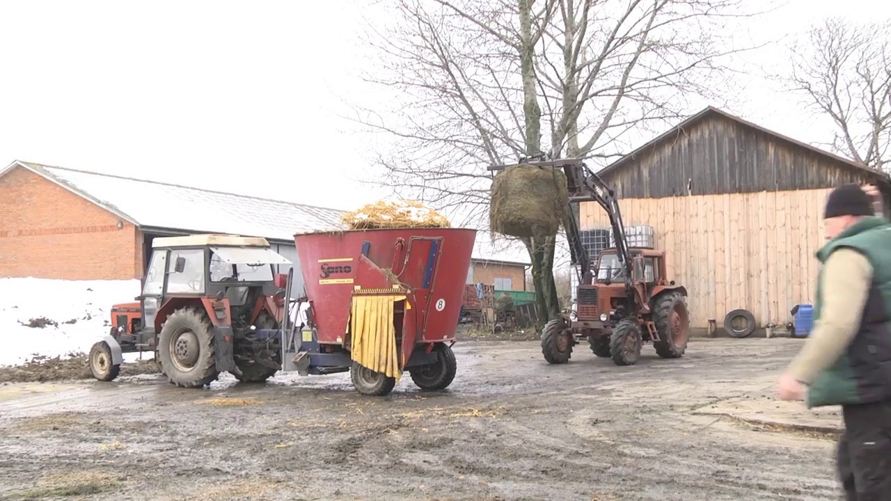 Krzysztof Kołtunik -