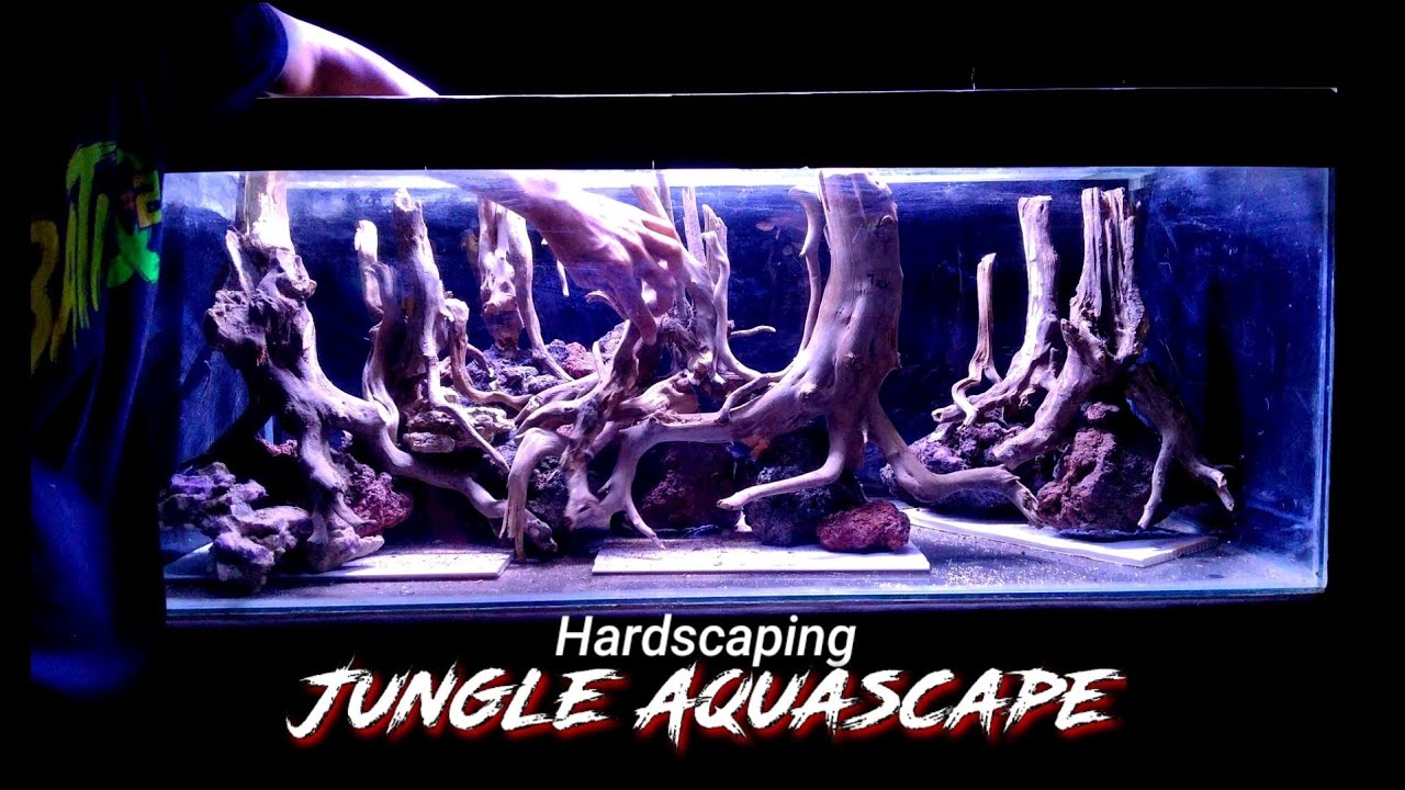 membuat hardscape jungle aquascape #aquascapegallery #aquascapewonogiri  #aquascapetutorial