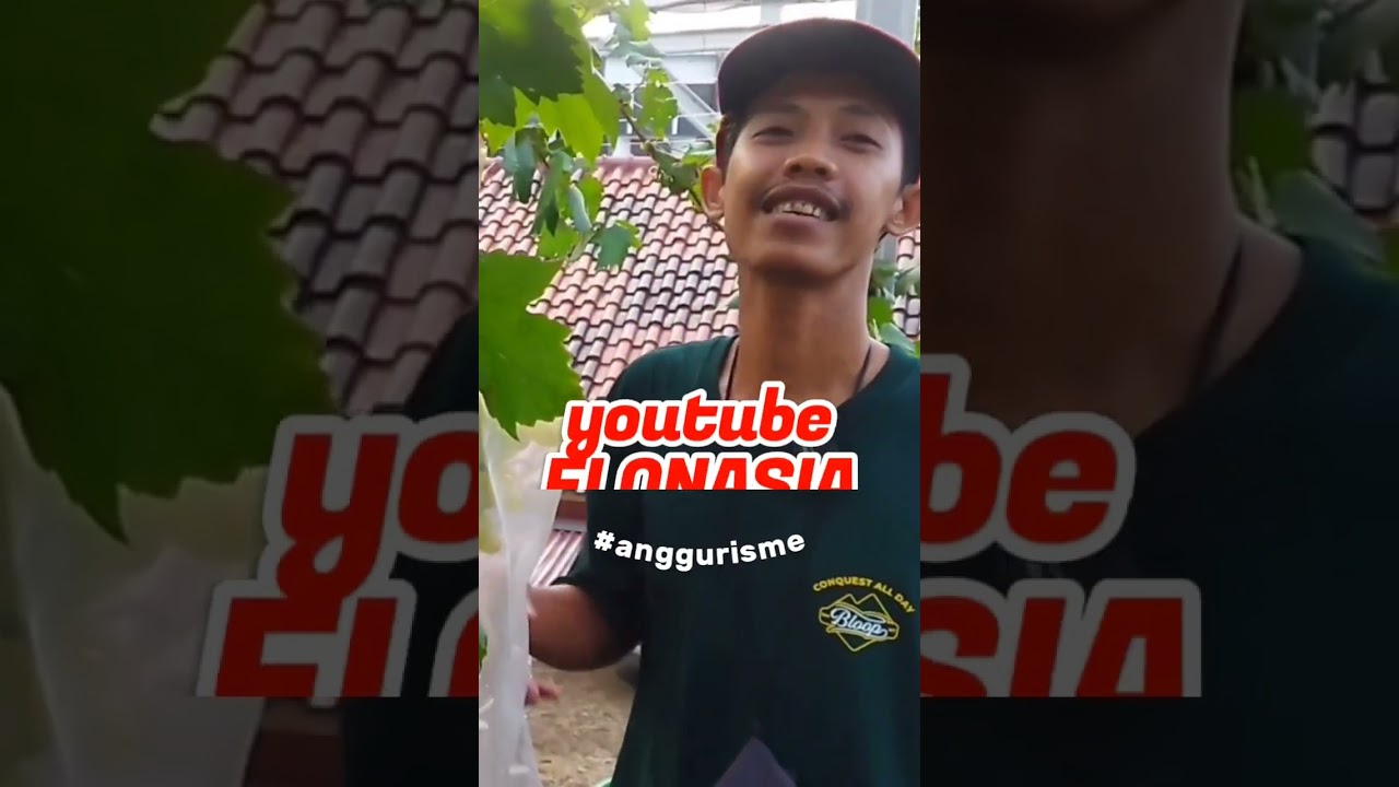 potong pucuk VS potes pucuk