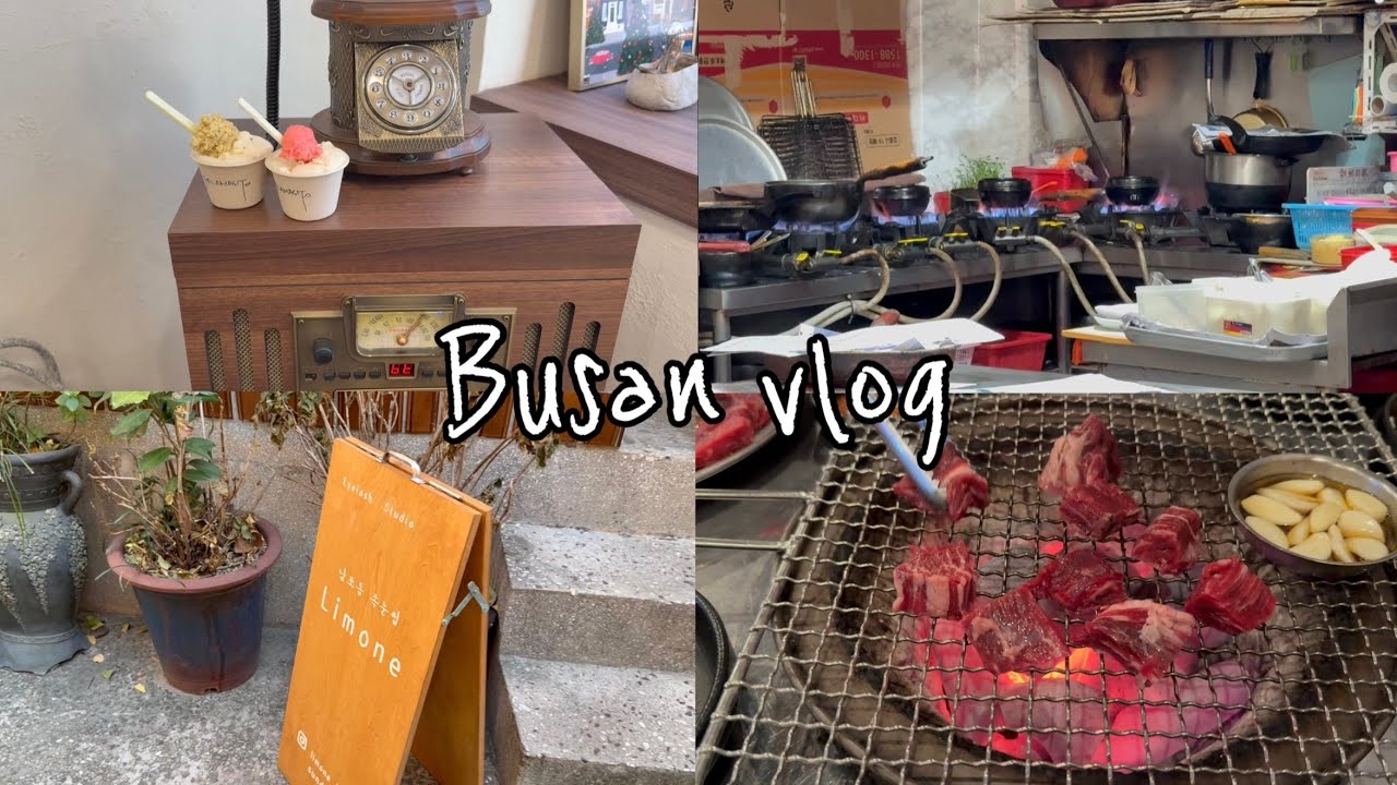 🐳부산토박이 또간집 | 리모네 속눈썹펌 |  남포동 골목식당 |  젤라마시또 | 주례 돌쇠깍두기