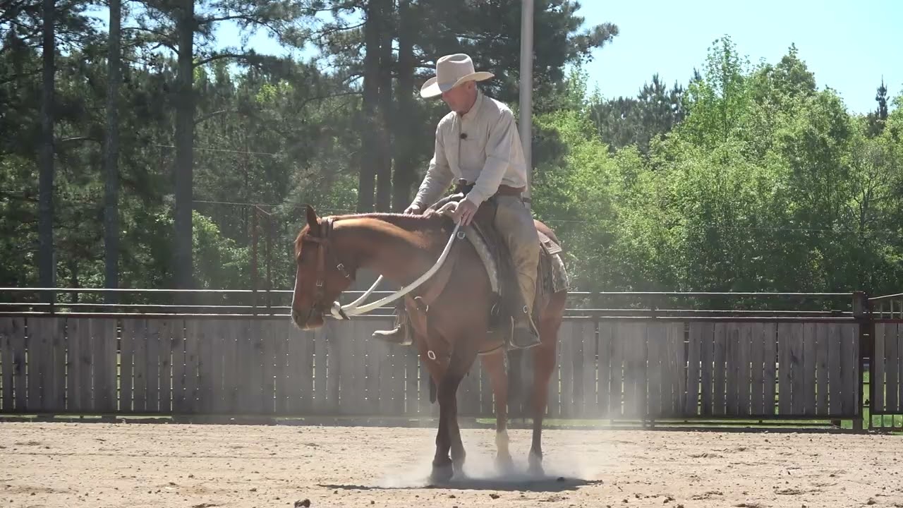 ES20 Snaffle Bit Basics with Luna Day 13