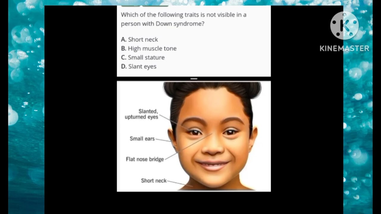 JAMB UTME Biology Online Tutorials. Biology Past Questions and Answers Revision.