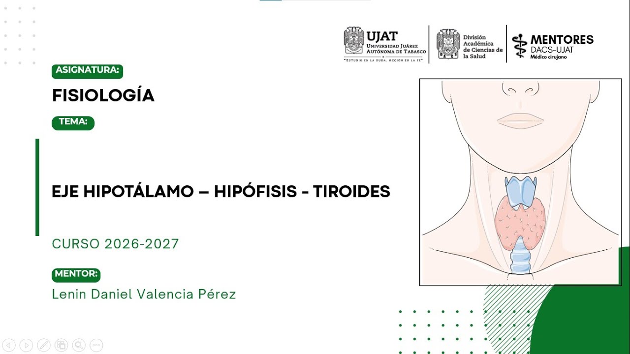 Eje hipotálamo-hipófisis-tiroides | Regulación hormonal de la tiroides | Mentorías DACS