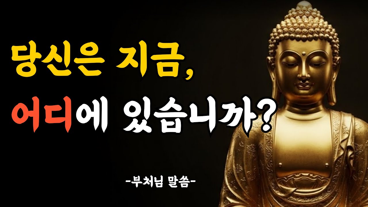 미래를 붙잡는 손이 현재를 놓친다 | 지금으로 돌아오는 가장 조용한 길 | 부처님 말씀 | 부처님 지혜 | 힐링 명상 | 오디오 북 | 수면 영상