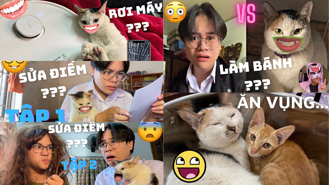 TỔNG HỢP NHỮNG C&Acirc;U CHUYỆN DỞ KH&Oacute;C DỞ CƯỜI CỦA CHIẾC M&Egrave;O V&Agrave; MINH ANH HO&Agrave;NG | MINH ANH HO&Agrave;NG