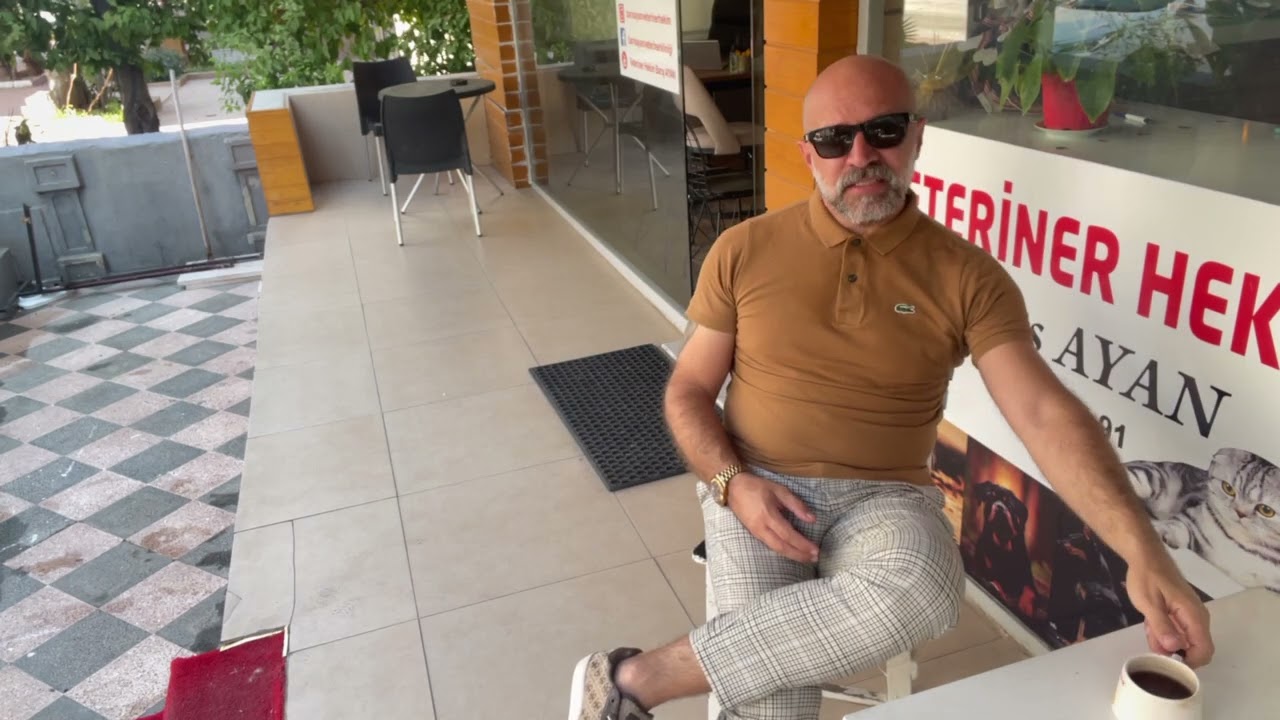 Kedilerde gingivit Diş eti iltihabı #kediler #kediyavrusu #kedivideoları #kedi