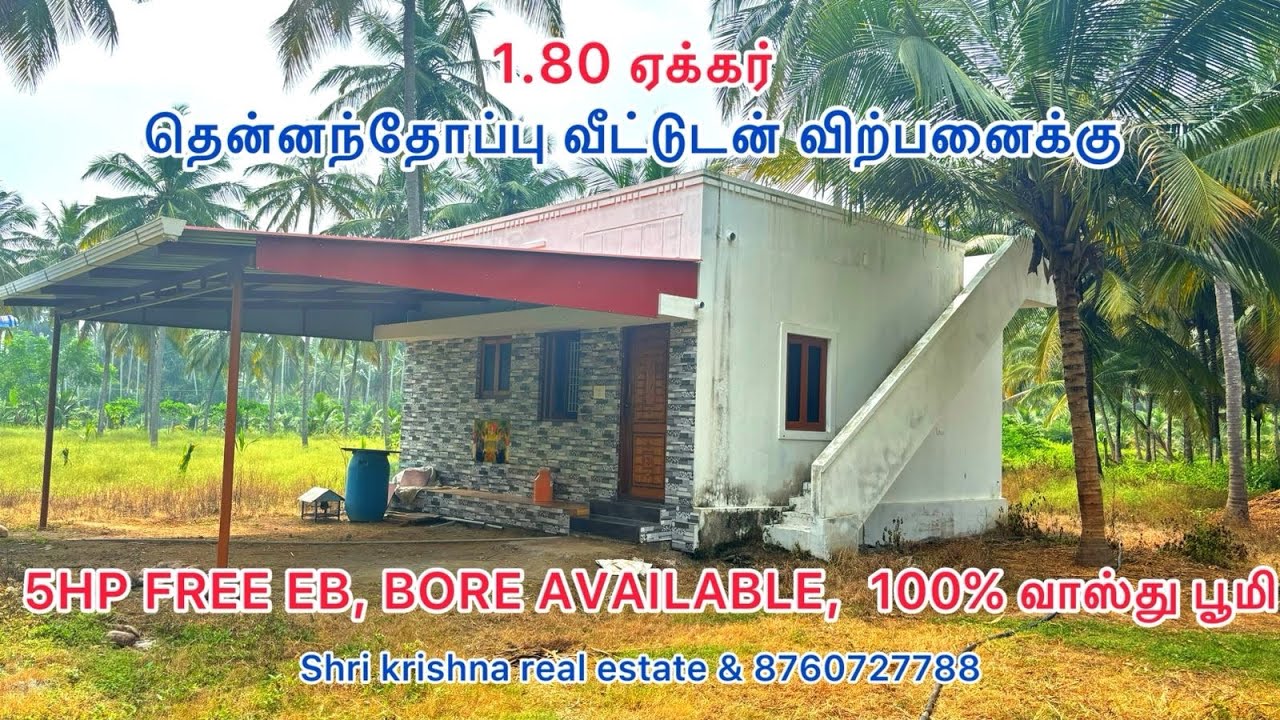 132) low budget coconut farm for sale. With farm house. Kinathukadavu area