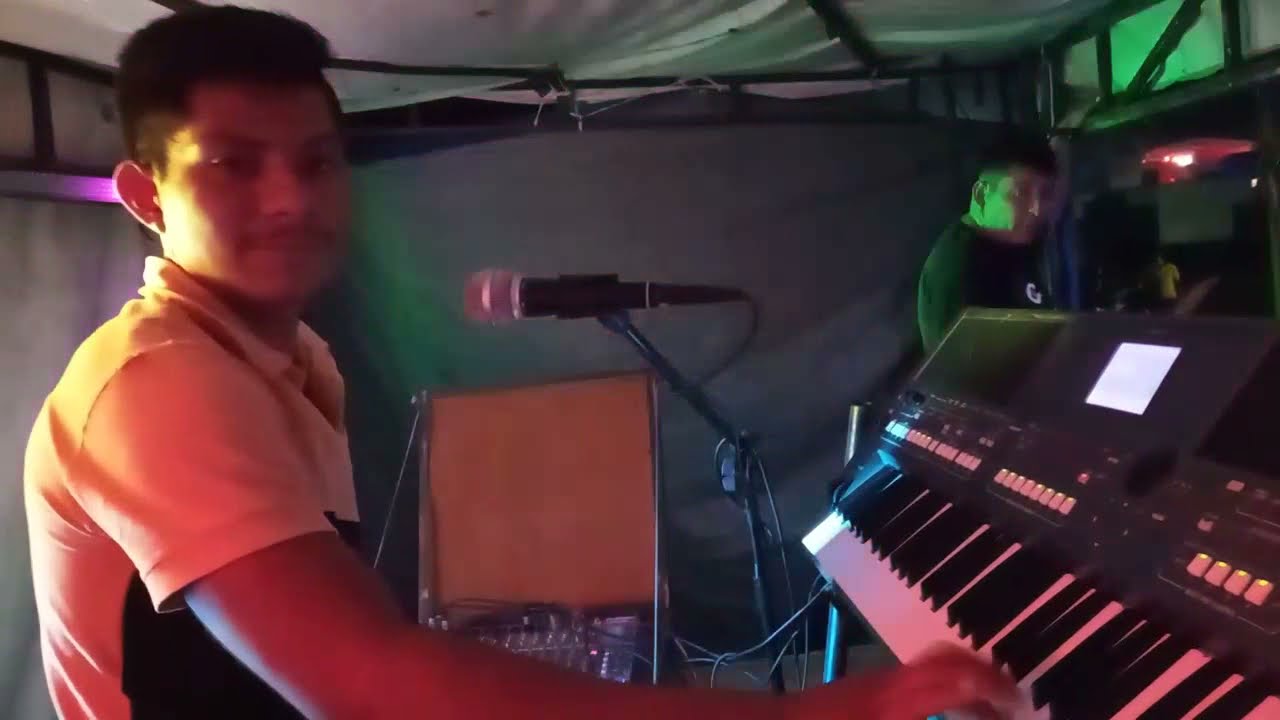 el bicho y sus teclados