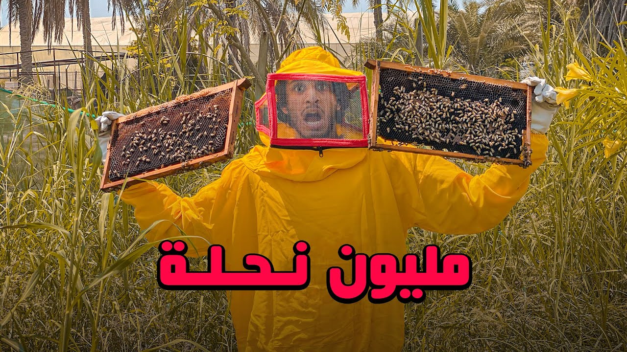 أنا نحال 🐝 #عمر_يجرب