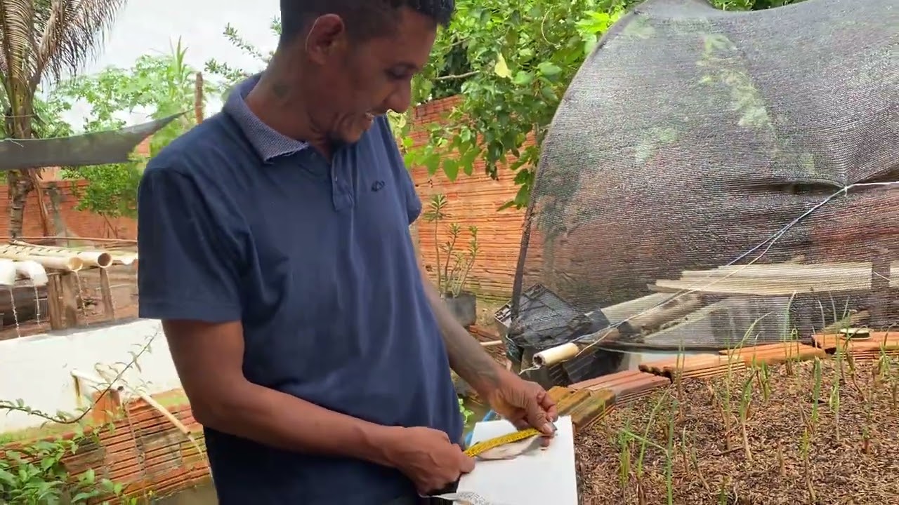 Pescando o peixe para medir