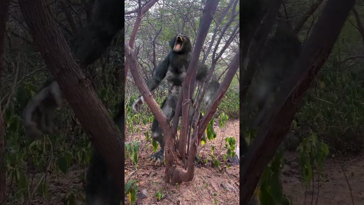 Werewolf Chase in Real Life 😯 #Shorts #Werewolf