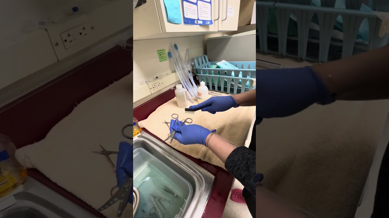 Pennfoster  Externship 2 Skill #3 cleaning surgical instruments 