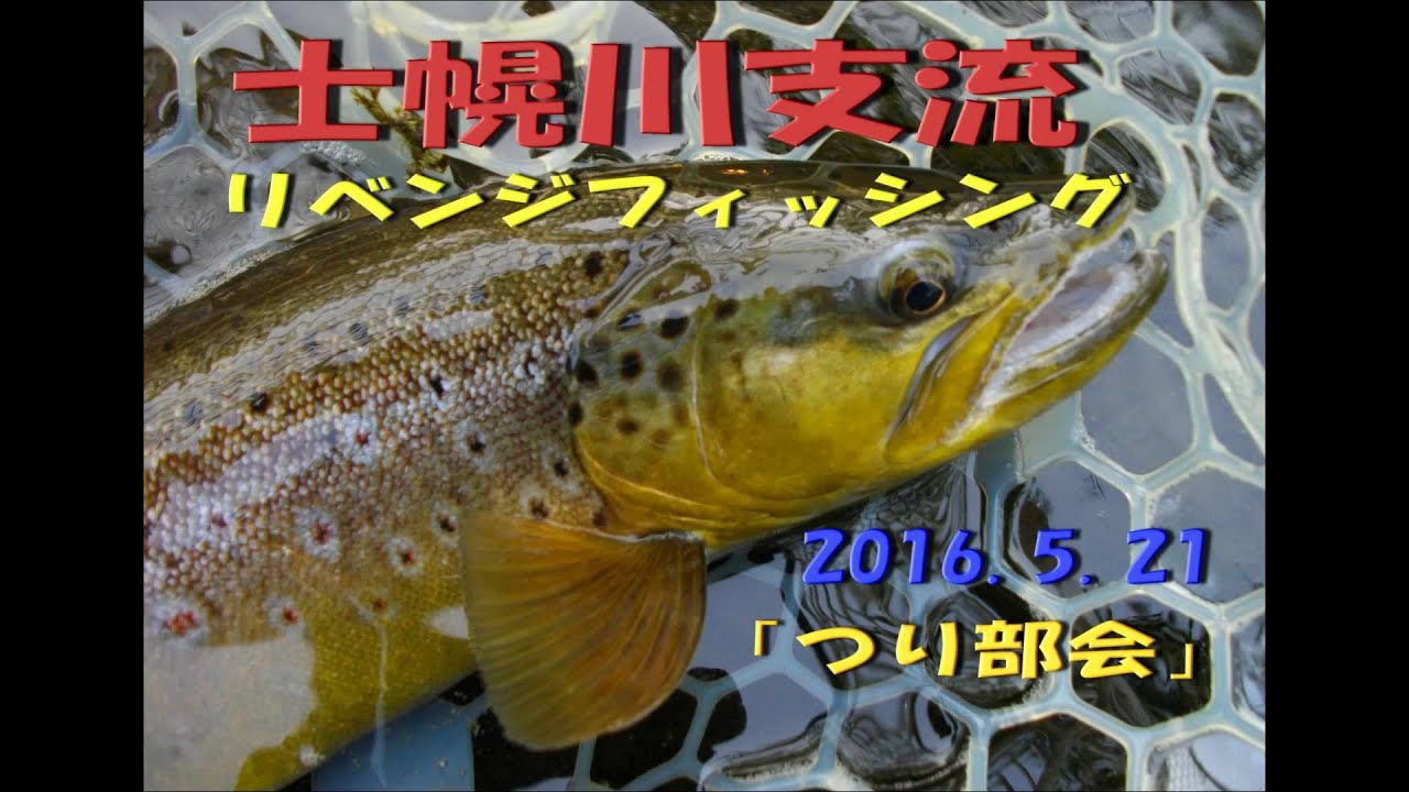 2016.5.21　「つり部会」　士幌川水系　先週のリベンジフィッシング　ブラウントラウト