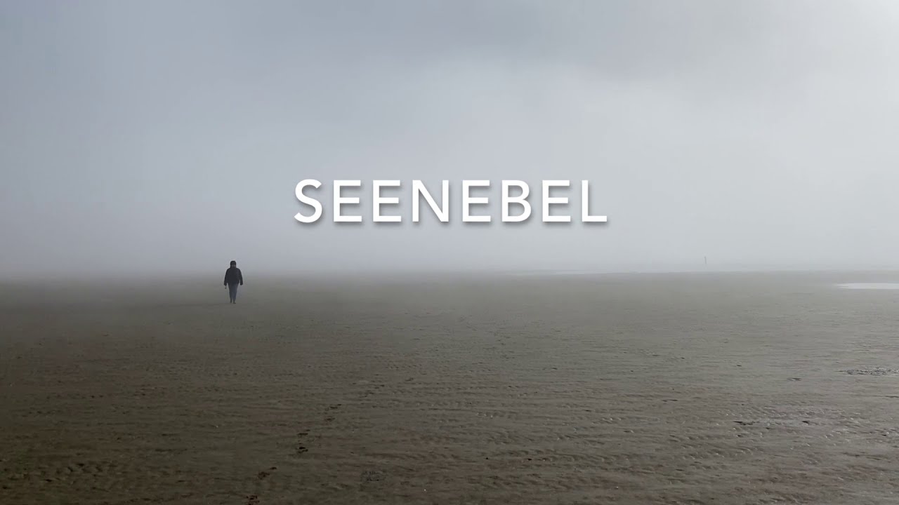 Seenebel 27.2.2021