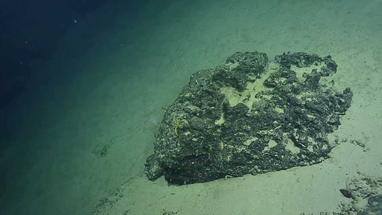 NA168_H2081_2of8_20241118T134239Z